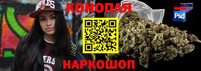 apvp Можга