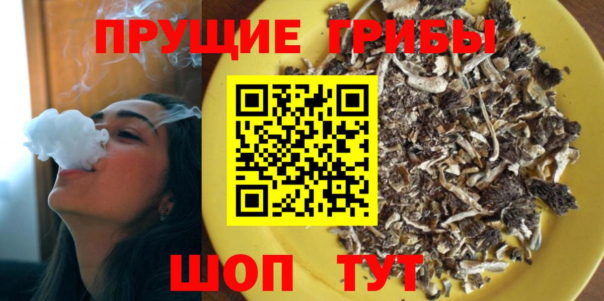 Псилоцибиновые грибы прущие грибы  Вход с VPN  Псилоцибиновые грибы Magic Shrooms  Тимашёвск 