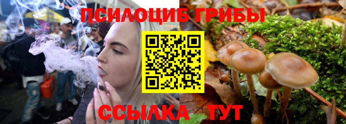 Галлюциногенные грибы ЛСД Тимашёвск